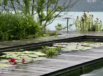 Piscine naturelle BioNova - Suisse