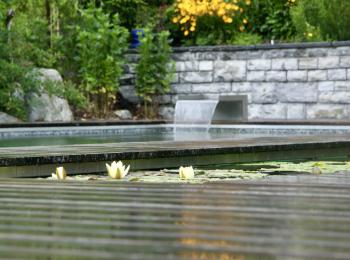 Piscine naturelle BioNova - Suisse