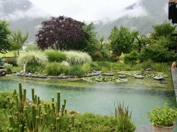 Piscine naturelle BioNova 