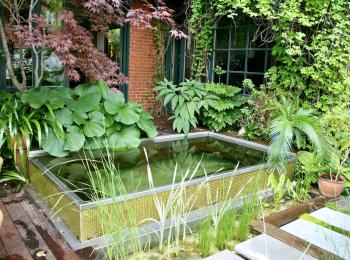 Piscine naturelle BioNova - Québec