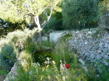 Piscine naturelle Hérault -34