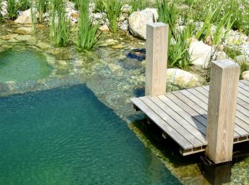 Piscine naturelle Lot - 46