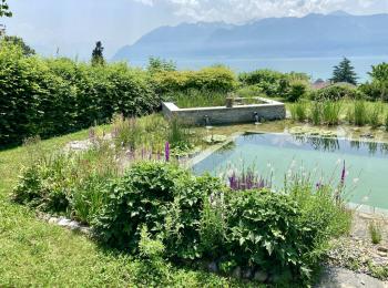 Piscine naturelle Suisse