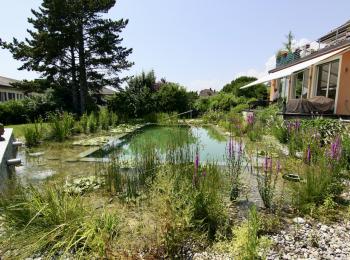 Piscine naturelle Suisse