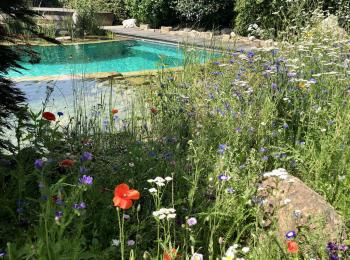 Piscine naturelle BioNova  