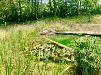 Baignade naturelle Tarn et Garonne - Gîte 'Al Truc'