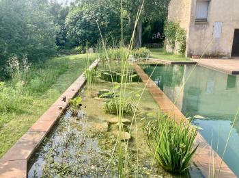 Piscine naturelle Bordeaux