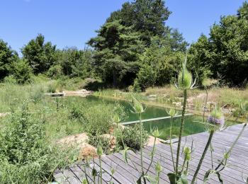 Baignade écologique Aveyron