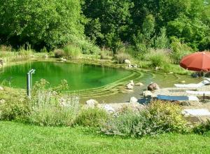 Baignade naturelle Dordogne