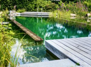 Piscine biologique Haute Garonne - 31