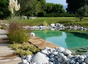 Piscine naturelle Haute Savoie - 74