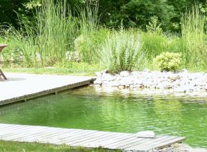 Piscine naturelle Tarn - 81