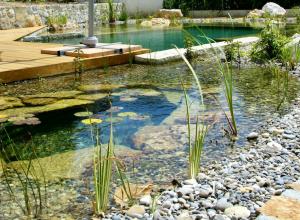 Piscine naturelle Var - 83