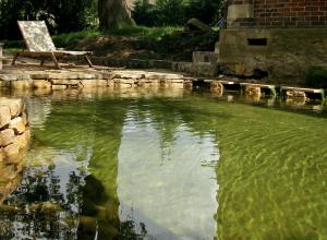 Piscine naturelle Yvelines - 78