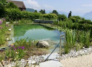 Piscine écologique Suisse