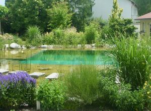 Piscine naturelle BioNova - Allemagne