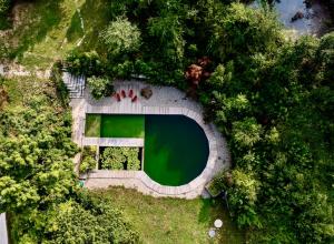 Piscine naturelle GERS - Les cabanes de Fallot